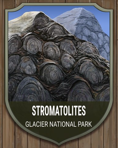 Canasta HD Glacier Stromatolites National Parks Badge