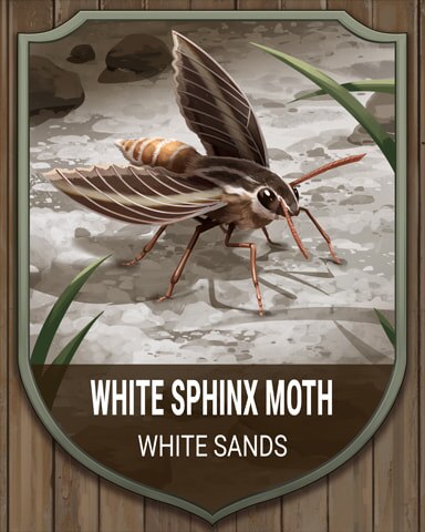 Canasta HD White Sands Sphinx Moth National Parks Badge