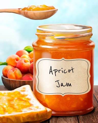 Snowbird Solitaire Apricot Jams and Preserves Badge