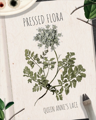 Tri-Peaks Solitaire HD Queen Anne's Lace Pressed Flora Badge