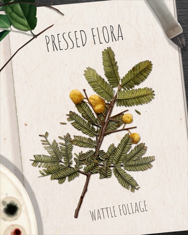 Claire Hart Classic Wattle Foliage Pressed Flora Badge