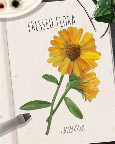 Claire Hart: Secret in the Shadows Calendula Pressed Flora Badge