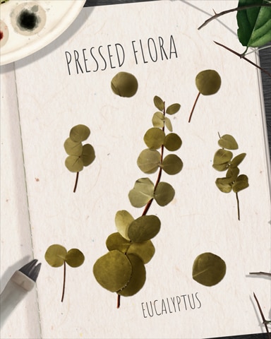 Tri-Peaks Solitaire HD Eucalyptus Pressed Flora Badge