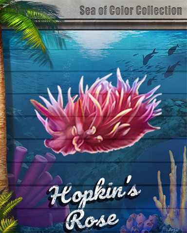 Hopkins Rose Sea of Color Badge - First Class Solitaire HD