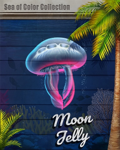 Moon Jelly Sea of Color Badge - Word Whomp HD