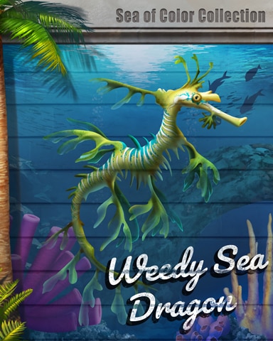 Weedy Sea Dragon Sea of Color Badge - World Class Solitaire HD