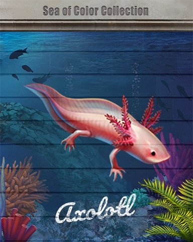 Axolotl Sea of Color Badge - Dice City Roller HD