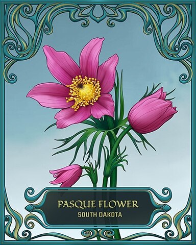 First Class Solitaire HD South Dakota State Flowers Badge