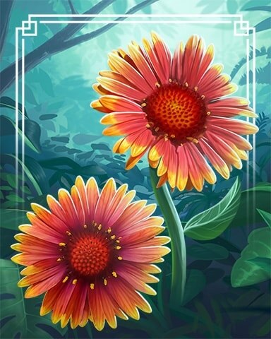 Blanket Flower Tropical Flowers Badge - First Class Solitaire HD