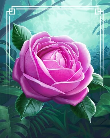 Damask Rose Tropical Flowers Badge - Canasta HD