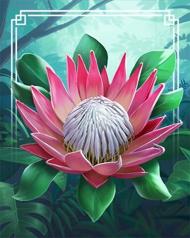 King Protea Tropical Flowers Badge - Tri-Peaks Solitaire HD
