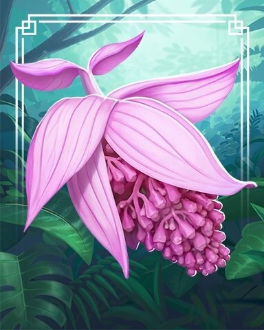 Rose Grape Tropical Flowers Badge - World Class Solitaire HD
