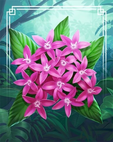 Starflower Tropical Flowers Badge - Mahjong Safari HD