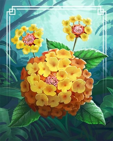 Wild Lantana Tropical Flowers Badge - First Class Solitaire HD