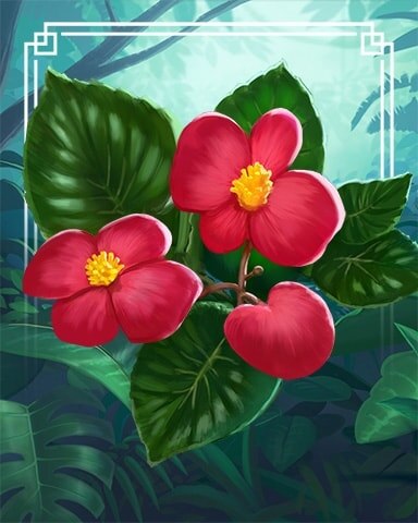 Canasta HD Begonias Tropical Flowers Badge