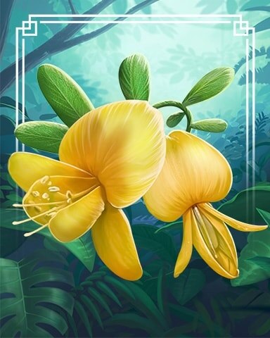 Mamane Tropical Flowers Badge - Canasta HD