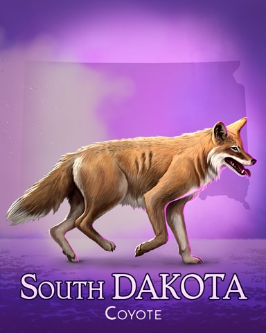 Word Search Daily HD Coyote Wild America Badge