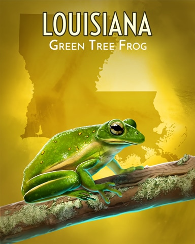 Word Whomp HD Green Tree Frog Wild America Badge