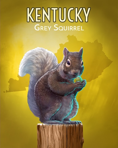 Dice City Roller HD Grey Squirrel Wild America Badge