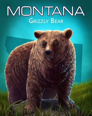 Rainy Day Spider Solitaire HD Grizzly Bear Wild America Badge