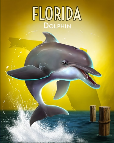 Canasta HD Dolphin Wild America Badge