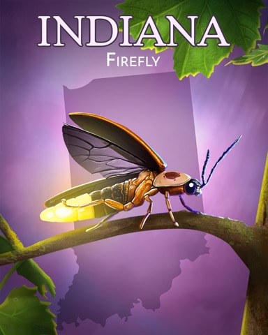 Canasta HD Firefly Wild America Badge