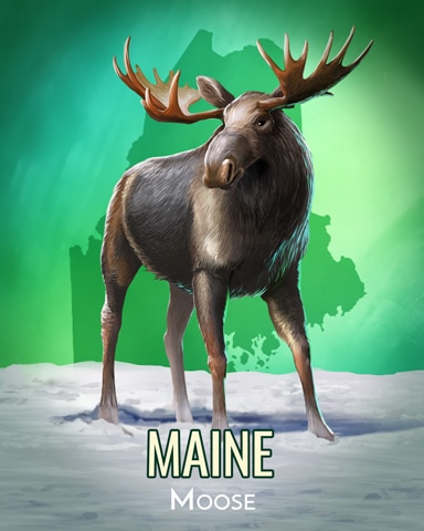 Spades HD Moose Wild America Badge