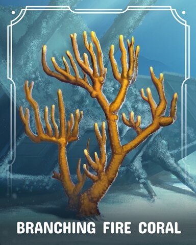 First Class Solitaire HD Branching Fire Corals Badge