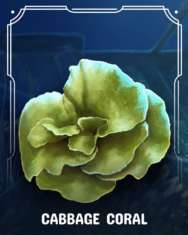 Canasta HD Cabbage Corals Badge