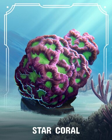 Tri-Peaks Solitaire HD Colorful Star Corals Badge