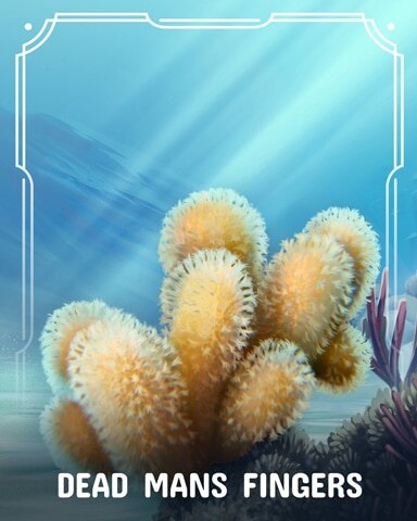 Jungle Gin HD Dead Man's Fingers Corals Badge