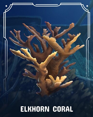 Spades HD Elkhorn Corals Badge