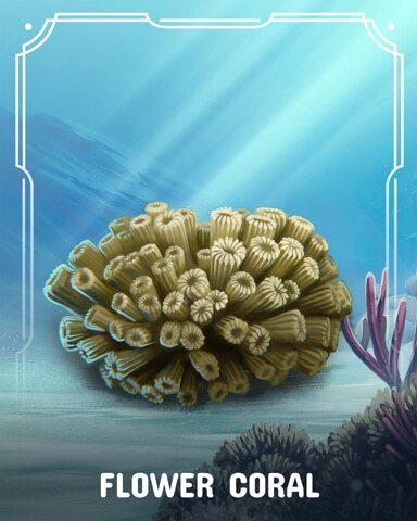 Canasta HD Flower Corals Badge