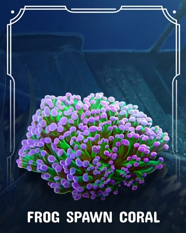 Poppit! Bingo Frog Spawn Corals Badge