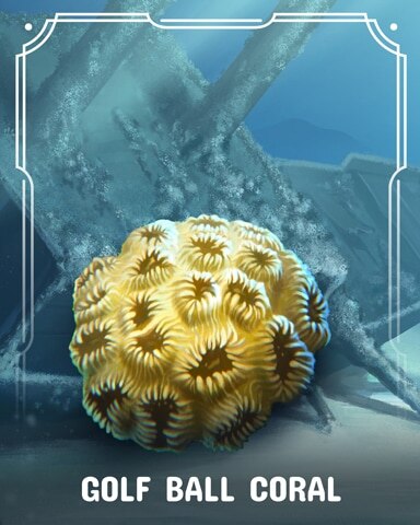 Aces Up! HD Golf Ball Corals Badge