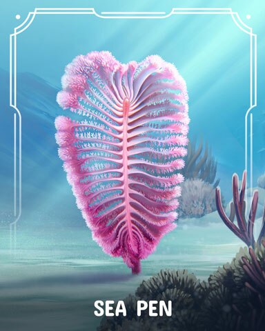 Canasta HD Sea Pen Corals Badge