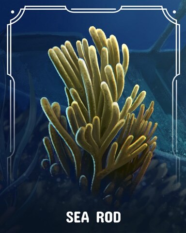 Jungle Gin HD Sea Rod Corals Badge