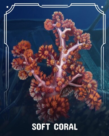 First Class Solitaire HD Soft Corals Badge