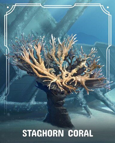 Mahjong Garden HD Staghorn Corals Badge