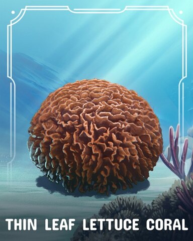 Mahjong Garden HD Thin Leaf Lettuce Corals Badge