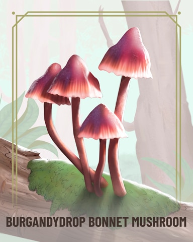 Word Whomp HD Burgandydrop Bonnet Fungi Badge