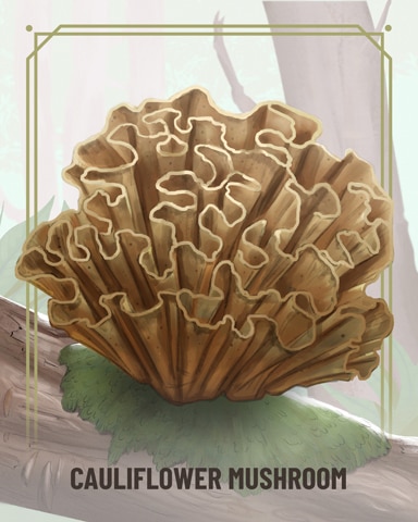 World Class Solitaire HD Cauliflower Fungi Badge