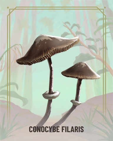 Rainy Day Spider Solitaire HD Conocybe Filaris Fungi Badge