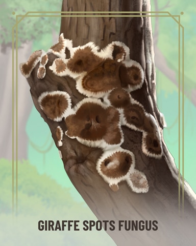 Mahjong Safari HD Giraffe Spots Fungi Badge