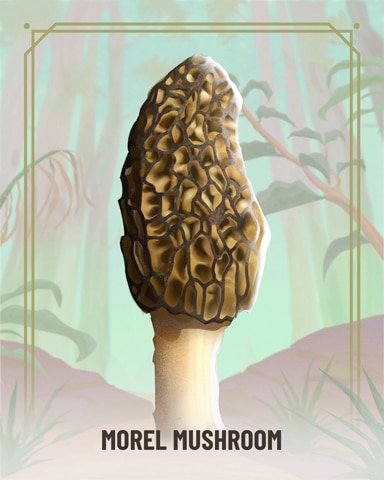 Canasta HD Morel Fungi Badge