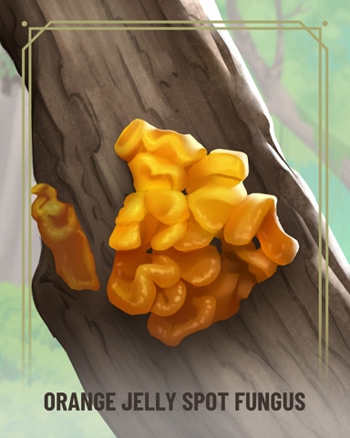 Mahjong Garden HD Orange Jelly Spot Fungi Badge