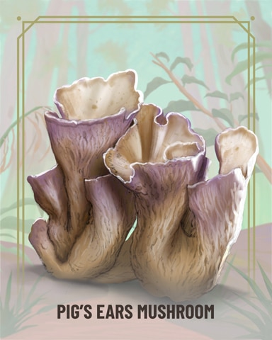 Tri-Peaks Solitaire HD Pig's Ear Fungi Badge