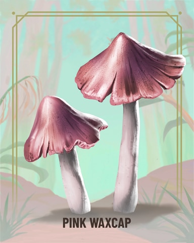 Quinn's Aquarium Pink Waxcap Fungi Badge