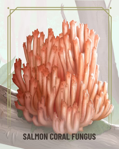 Canasta HD Salmon Coral Fungi Badge