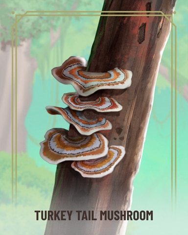 Tri-Peaks Solitaire HD Turkey Tail Fungi Badge